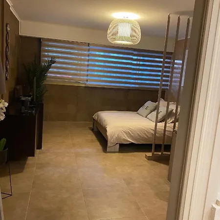 Beach Studio 公寓 昂蒂布